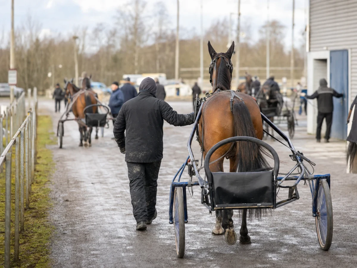 Travmiljö som illustrerar jim fricks stipendium öppnade med 30 000 kronor till unga i travet.
