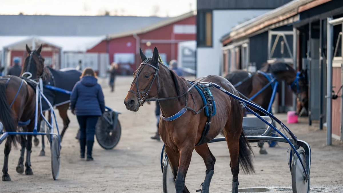Travmiljö som illustrerar olle goops minne tar emot ansökningar till sista juni.