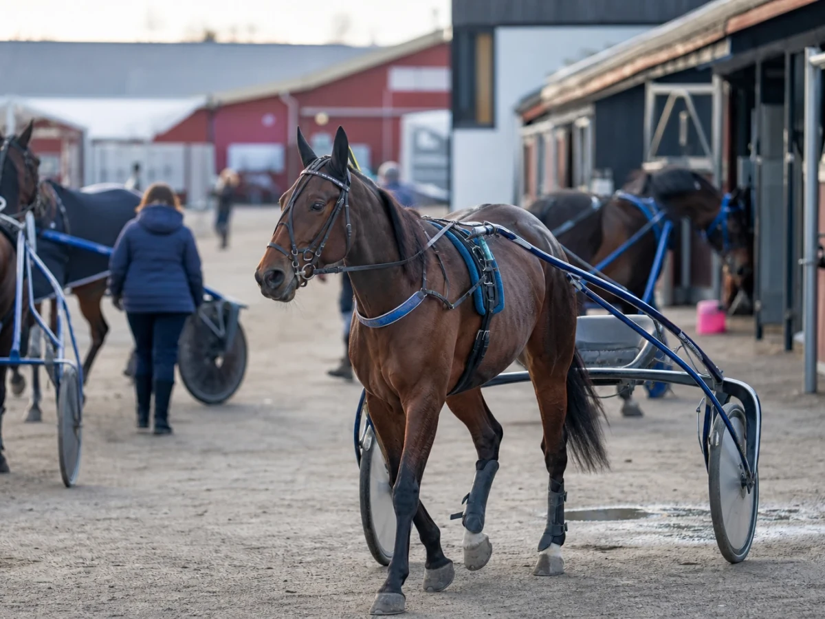 Travmiljö som illustrerar olle goops minne tar emot ansökningar till sista juni.
