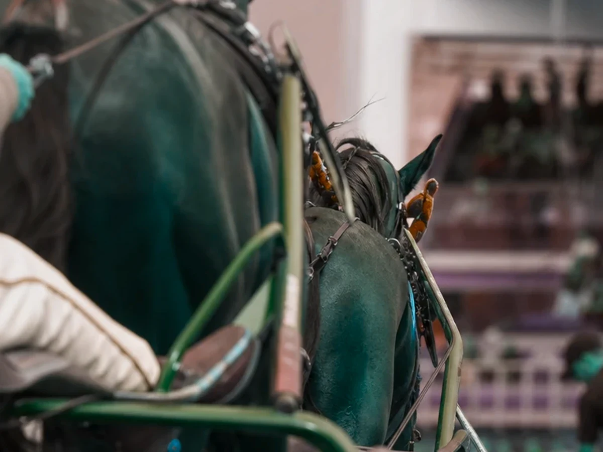 Travmiljö som illustrerar ungdomsstyrelsen kopplar sommartravet till ny publik.