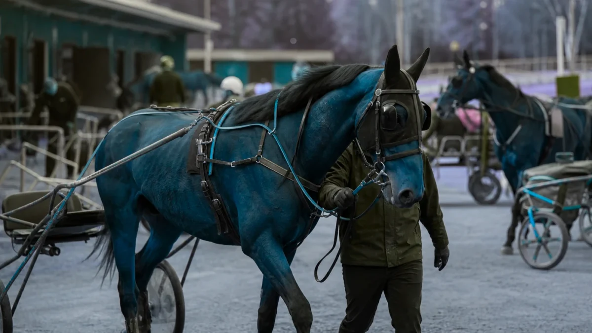 Travmiljö som illustrerar lördagstävlingar får nya starttider och hästgalan flyttas till februari.