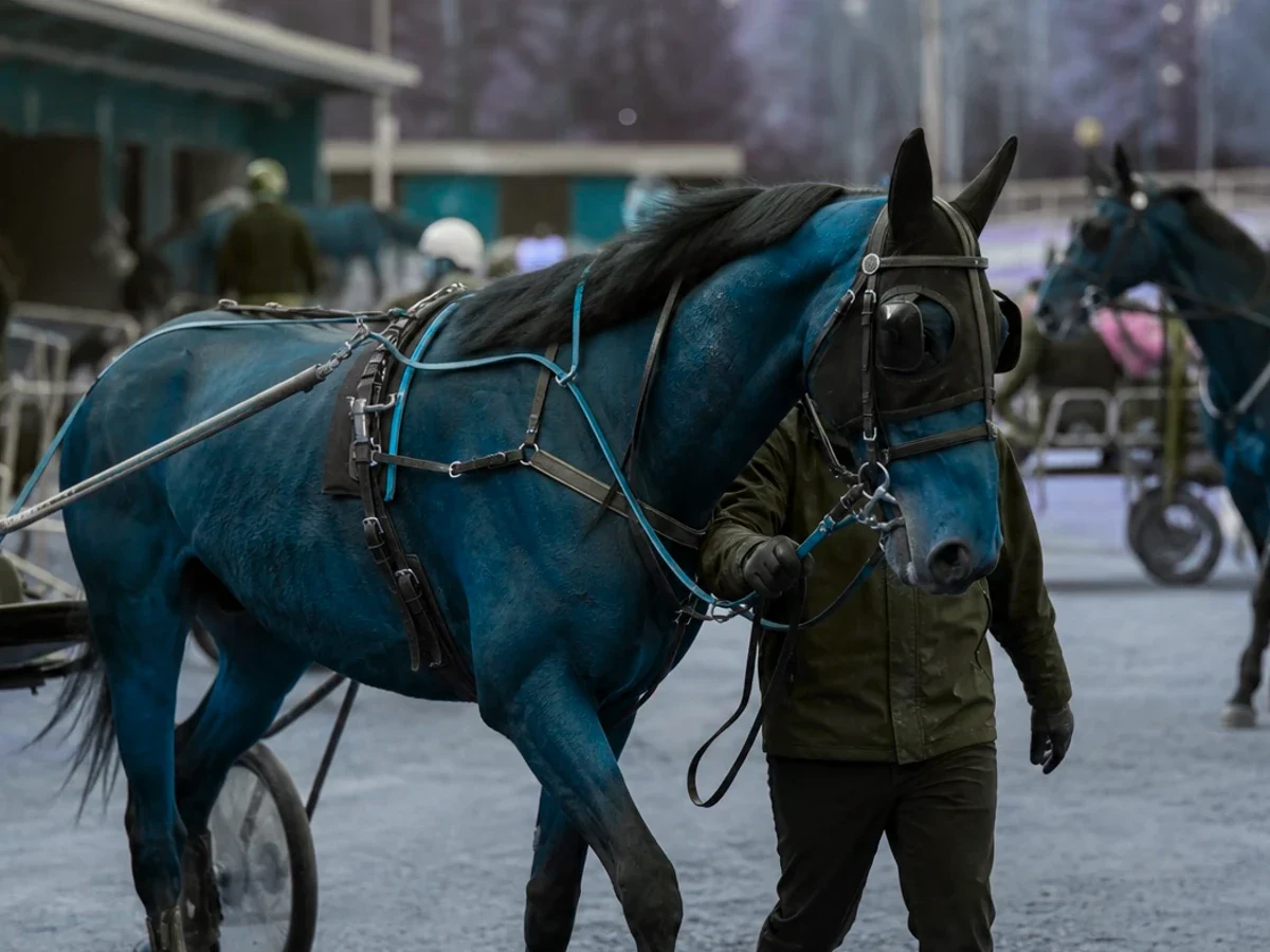 Travmiljö som illustrerar lördagstävlingar får nya starttider och hästgalan flyttas till februari.