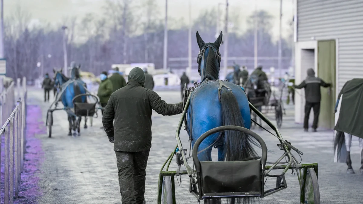 Travmiljö som illustrerar zoogin, johnny takter och öystein tjomsland valdes in i hall of fame.