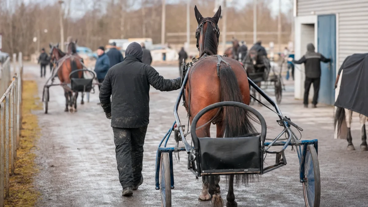 Travmiljö som illustrerar riksdagens hästnätverk besökte solvalla travskola och stallbacke.